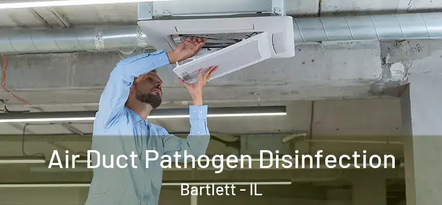  Air Duct Pathogen Disinfection Bartlett - IL