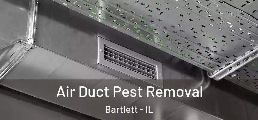 Air Duct Pest Removal Bartlett - IL