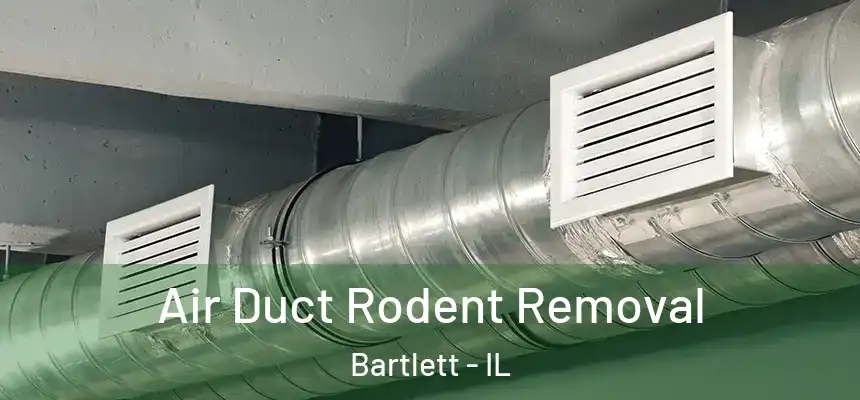  Air Duct Rodent Removal Bartlett - IL