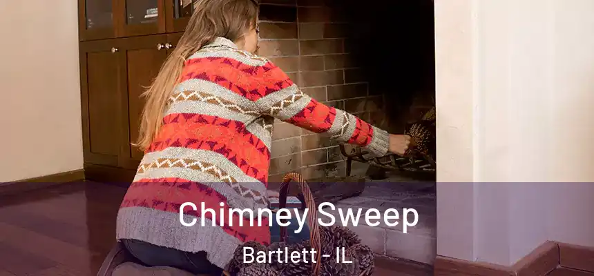  Chimney Sweep Bartlett - IL