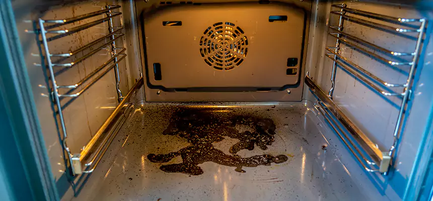 Our Dryer Vent Mold Cleaning Services in Bartlett, IL