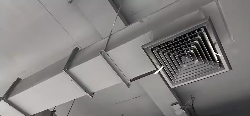 Our Rodent Droppings In Vents Services in Bartlett, IL