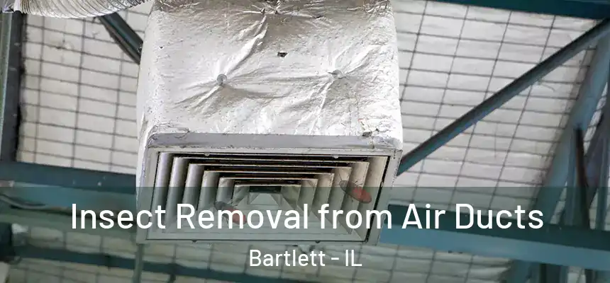  Insect Removal from Air Ducts Bartlett - IL
