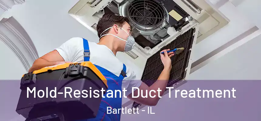  Mold-Resistant Duct Treatment Bartlett - IL
