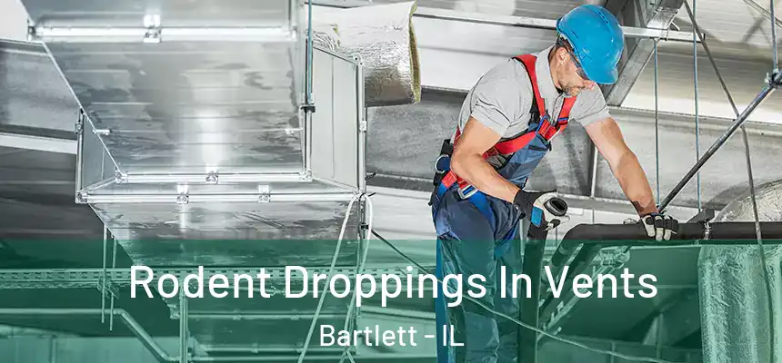  Rodent Droppings In Vents Bartlett - IL